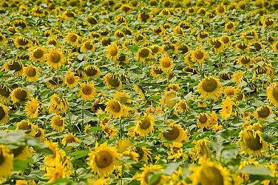 《灵魂骇客2》角色介绍影片第3弹“才藏”公开！